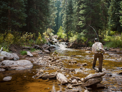 Things To Do Vail & Beaver Creek Fly Fishing
